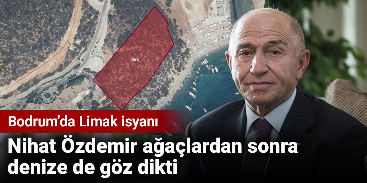 Nihat Özdemir ağaçlardan sonra denize de göz dikti. Bodrum’da Limak isyanı